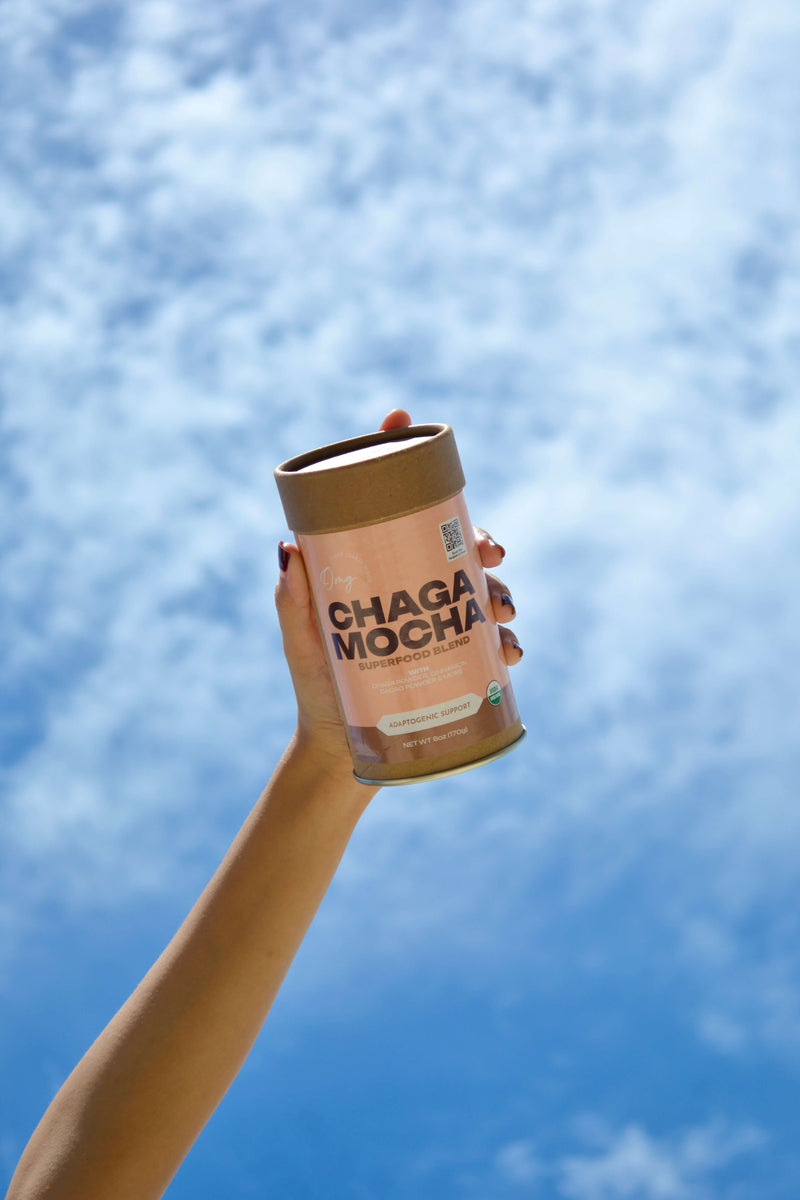 Organic Chaga Mocha Superfood Blend – OMG Superfoods
